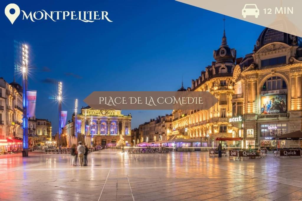 041 - Studio Le Chateau D'O, Appart 4Pers, Parking, Proche Faculte De Medecine Монпельє Екстер'єр фото